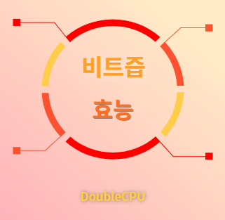 비트즙 효능