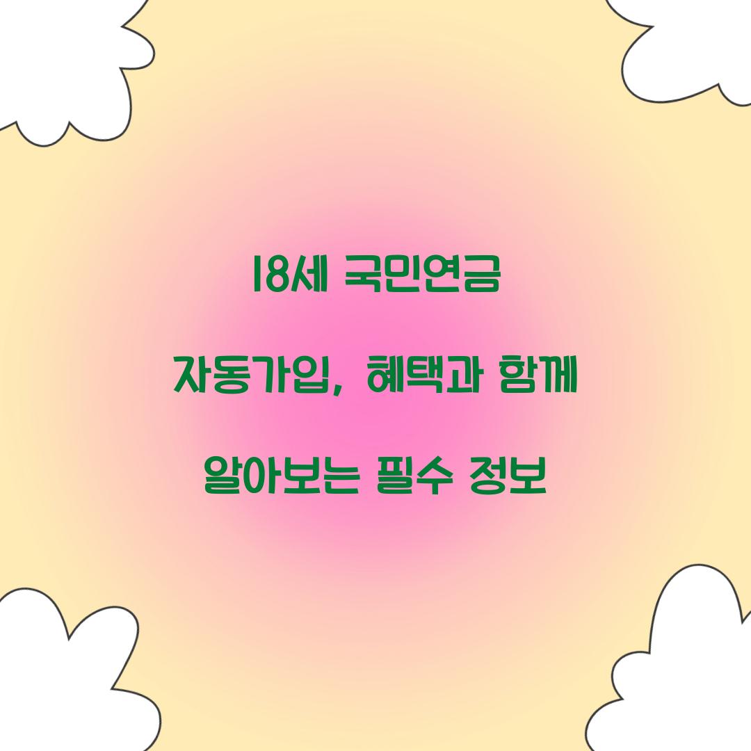 18세 국민연금 자동가입