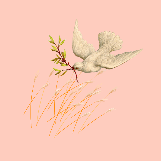 서울-억새풀-축제