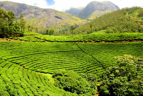 기미없애는방법