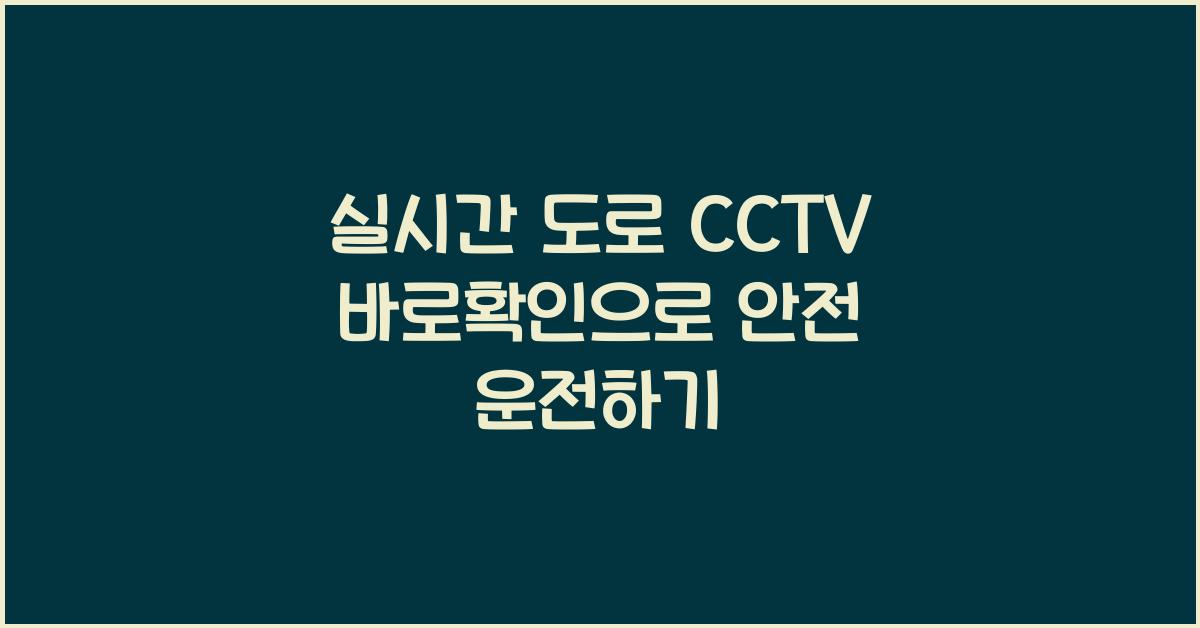 실시간 도로 cctv 바로확인