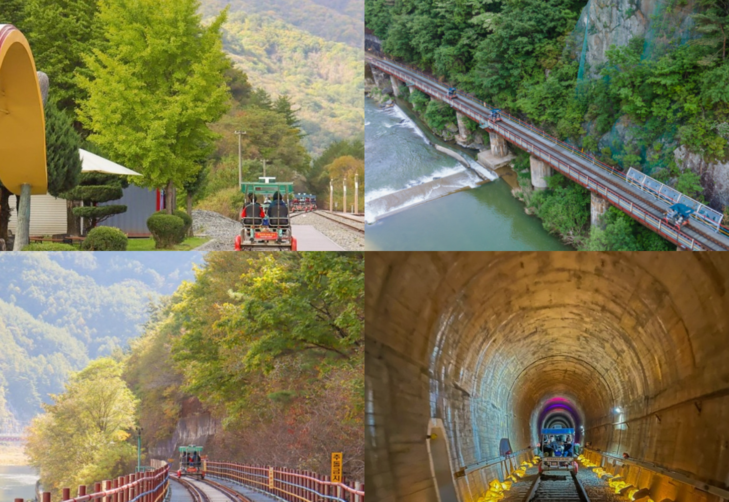 정선 레일바이크