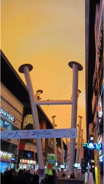 대전 은행동 역전 새벽시장하루가 가장 먼저 시작되는 따뜻한 풍경 기록_19