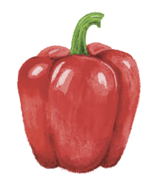 파프리카 이미지