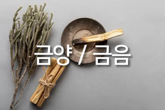 8체질-자가진단-테스트-금양-금음