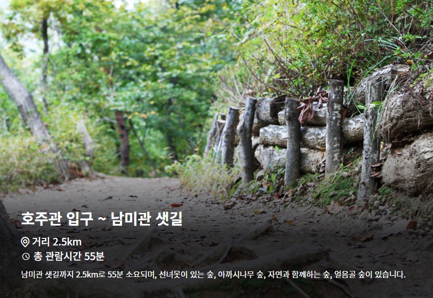 산림욕장길 1코스