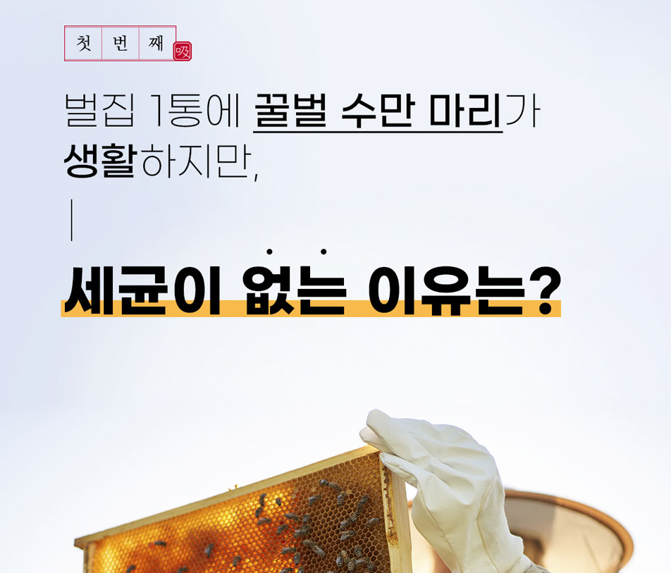보령 면역만세 가격, 효능, 부작용, 후기