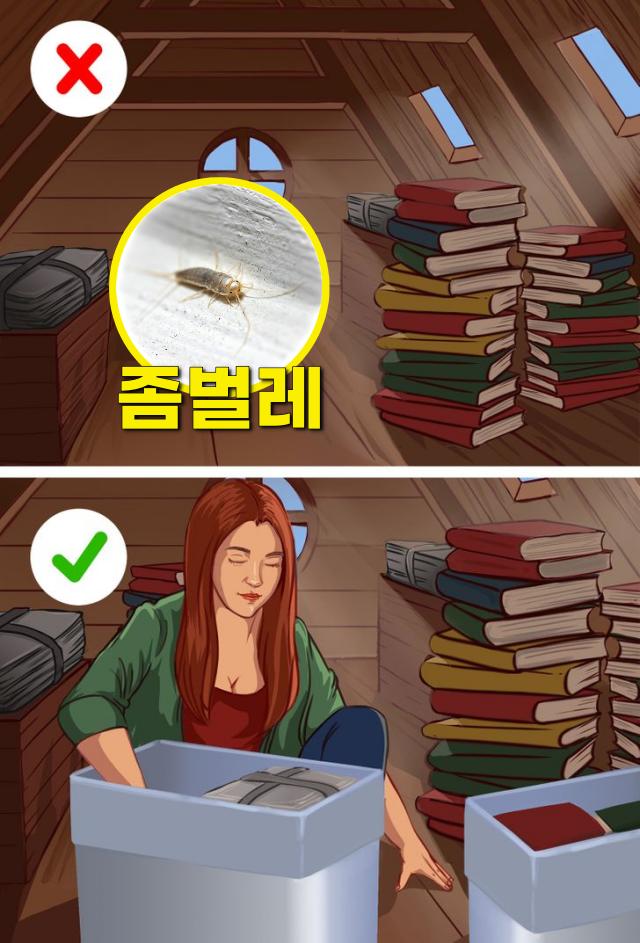 집에 벌레 들어오는 이유 벌레없는집 좀벌레