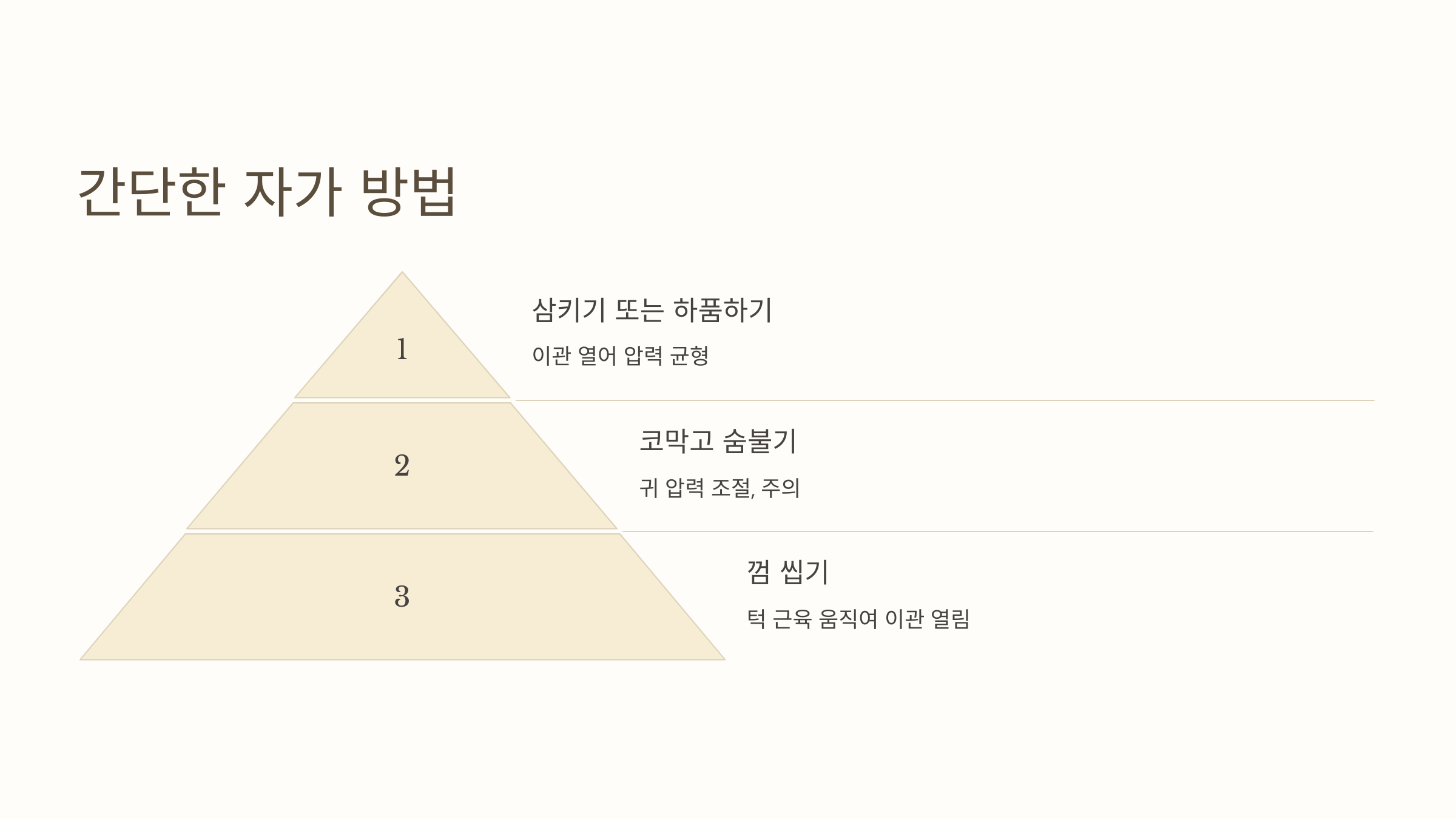 귀 사진입니다.