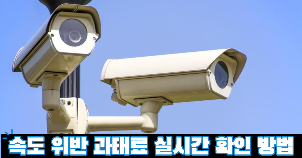 신호 속도 위반 과태료 실시간 확인 방법