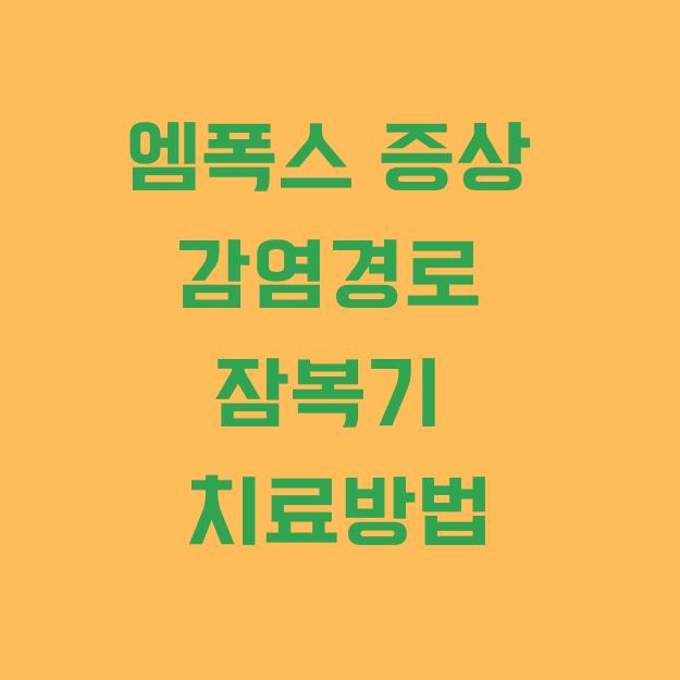 엠폭스 증상 감염경로 잠복기 치료