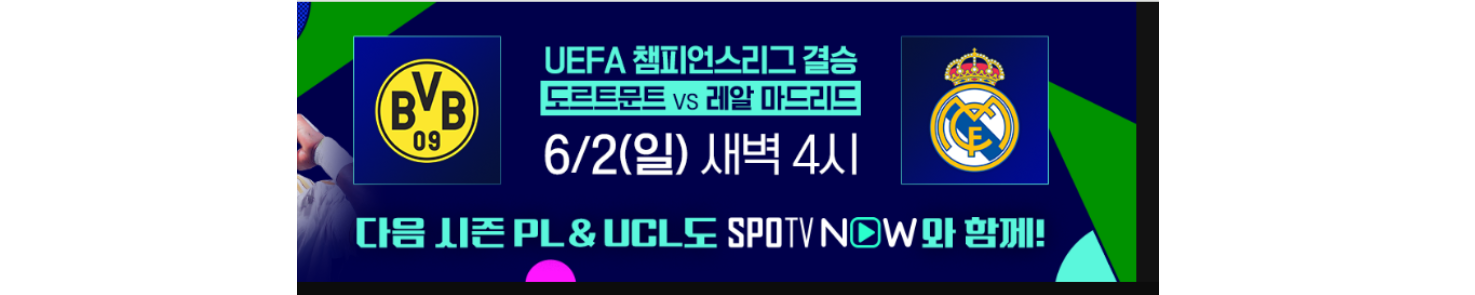 스포 티비 나우