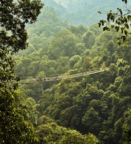 화담숲 예약 방법 모노레일 입장료