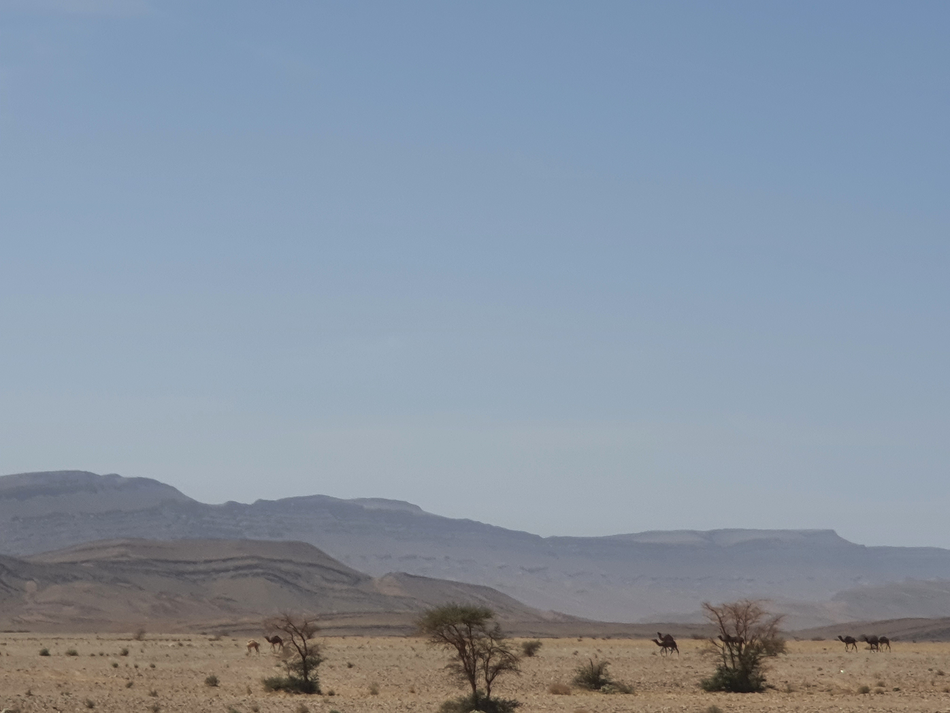 모로코 이치트 제벨 바니