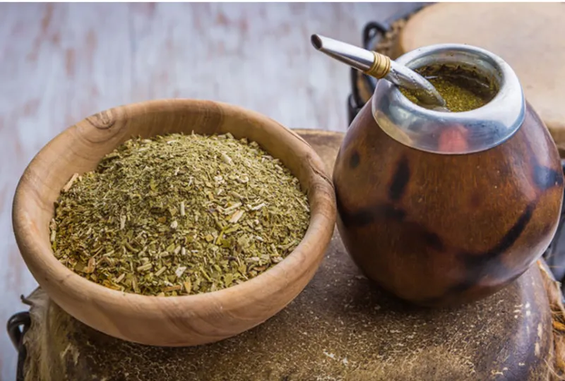 마테차 효능 11가지 및 부작용에 대해서 알아보기_1