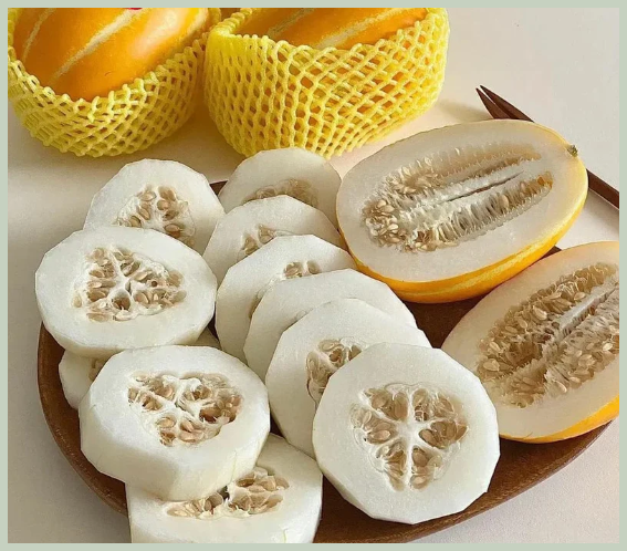 맛있는 참외 고르기