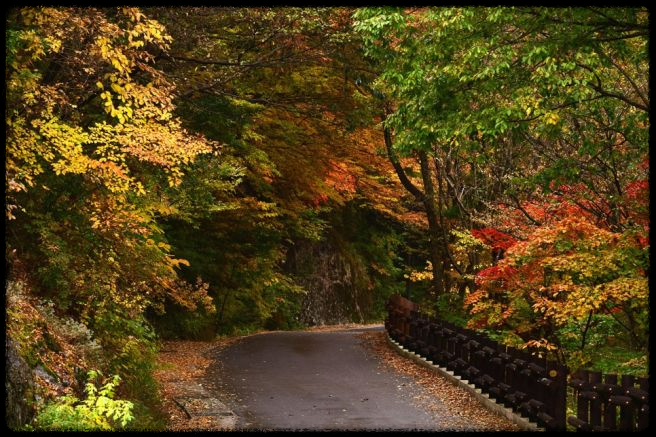 2024 가을&amp;#44; 국내 단풍 명소 추천: 절정 시기와 여행 팁까지 완벽 가이드