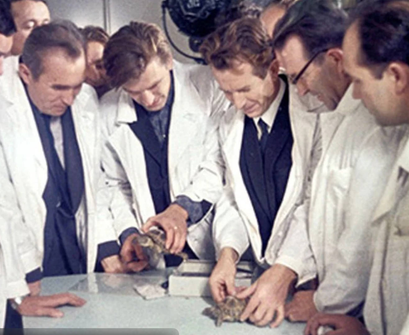 흰가운을 입은 사람들이 거북이 두 마리를 살펴보고 있다