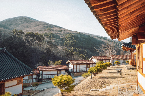전통 의식주 문화의 철학, 자연과 순환이 만든 지속가능한 삶의 지혜