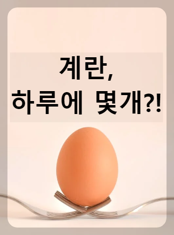 하루 계란 효능