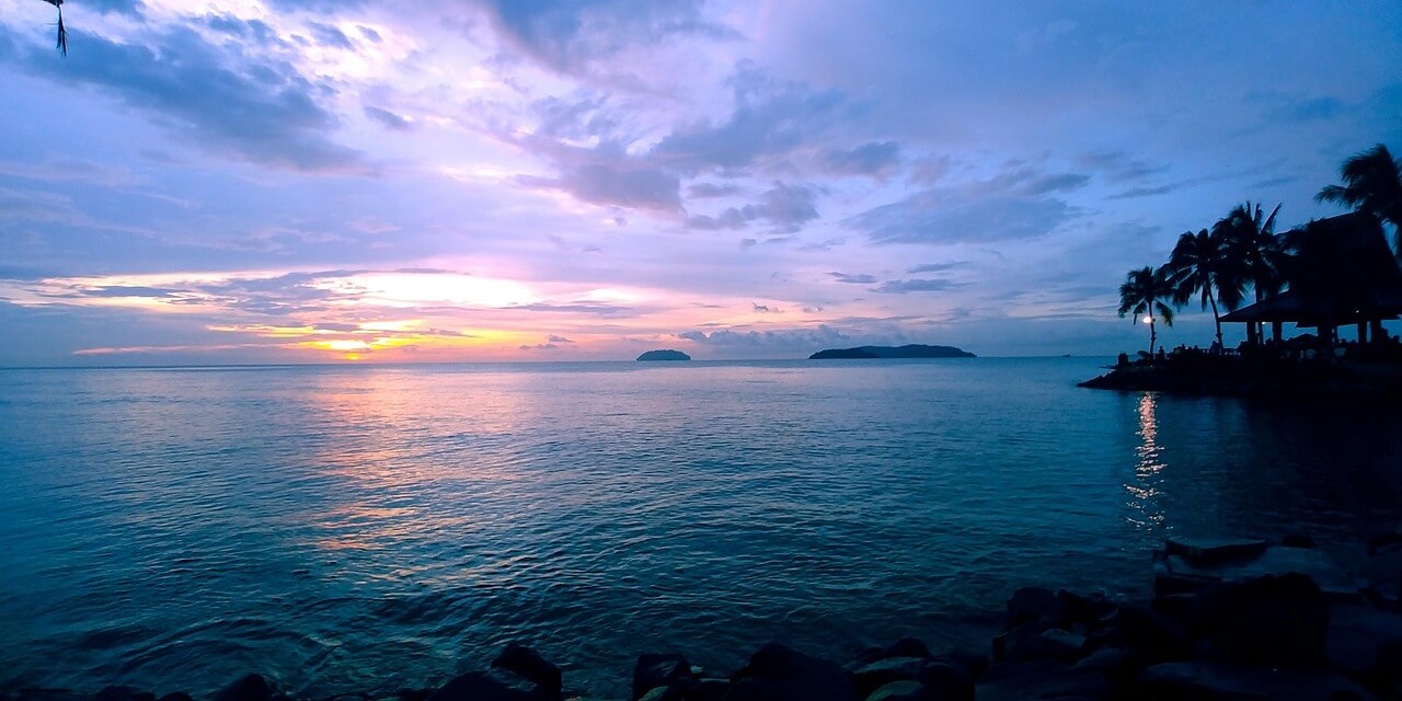 이상심리학의 주요 이론들