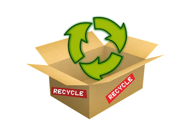 종이와 바이오 소재로 제작된 친환경 포장 샘플