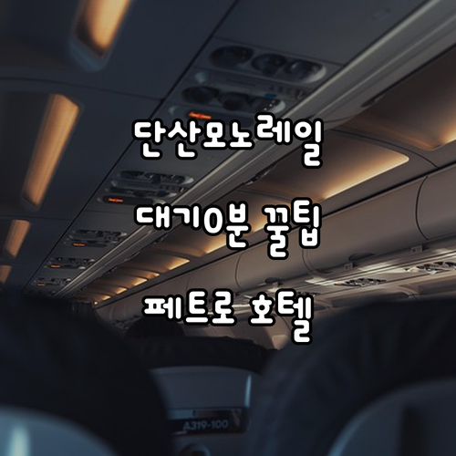 단산 모노레일 대기 시간 활용 꿀팁과..