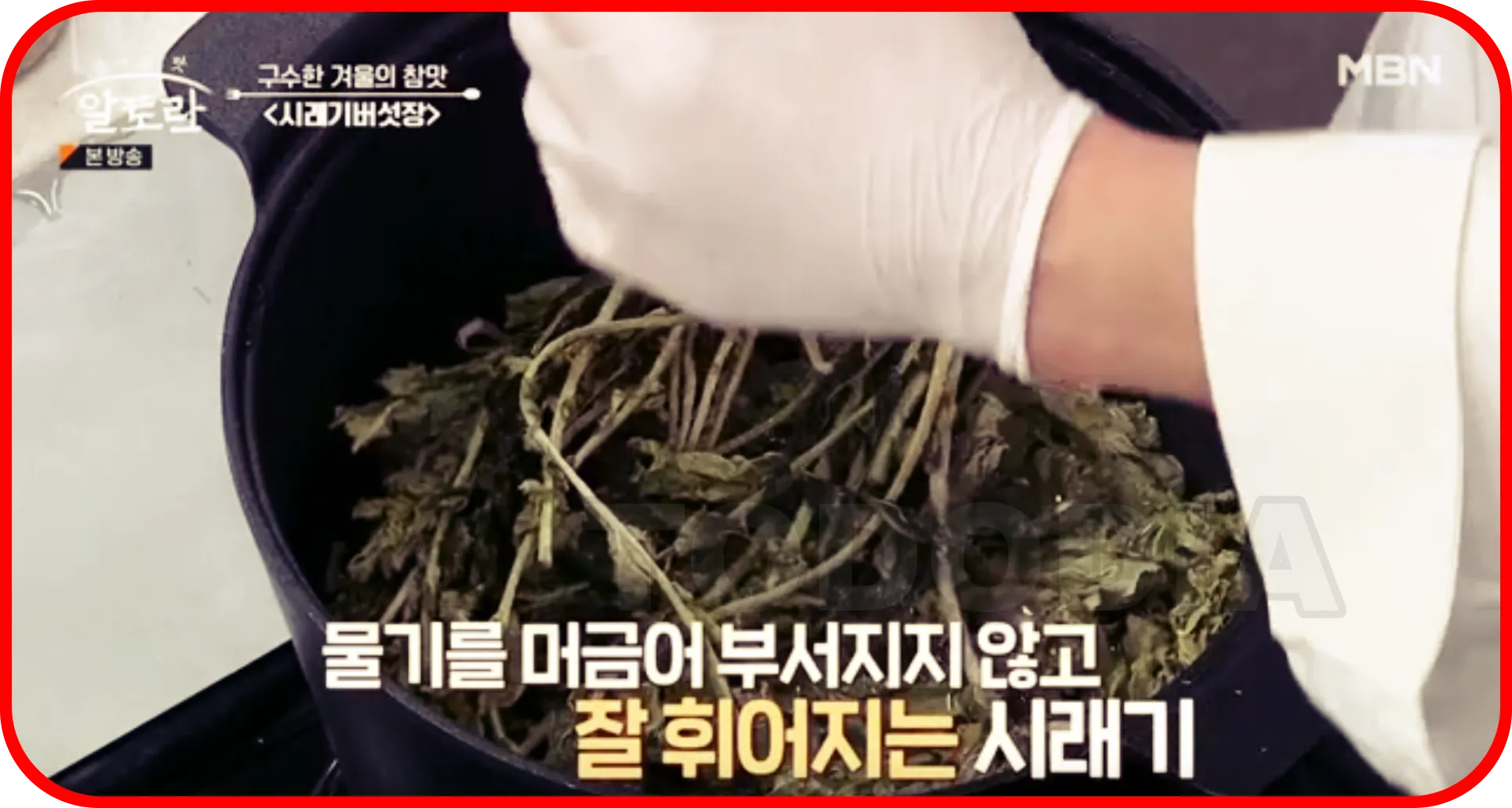 담근 시래기 모양은 잘휘어짐