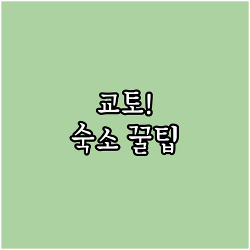 고즈넉한 감성부터 초역세권 편리함까지..