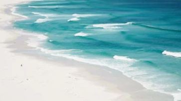 제 26회 국제 신문 부산 마라톤 대회 기본 정보&amp;#44; 장소&amp;#44; 대회 일정&amp;#44; 시간