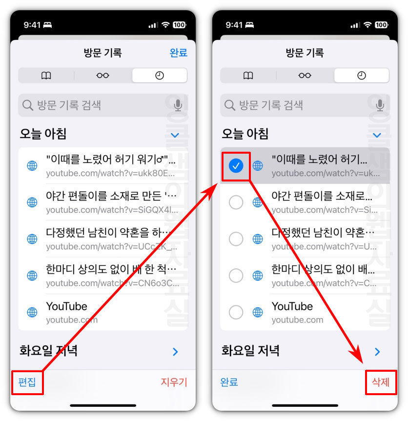 사파리 방문 기록 개별 삭제