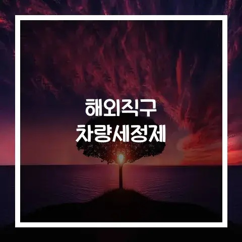 해외직구 차량세정제 주의할점