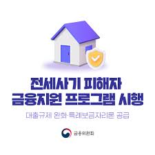 전세사기 피해자 보호를 위한 금융 대책