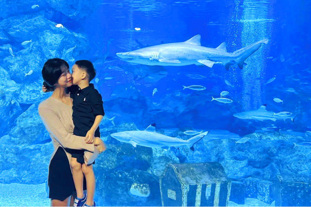 코엑스 아쿠아리움