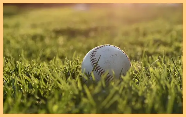 야구 결과 오늘 한국 도미니카 (하이라이트 동영상)