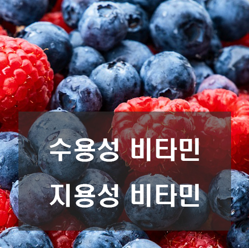 비타민-과일