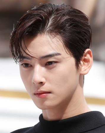 가수 겸 배우 - 차은우
