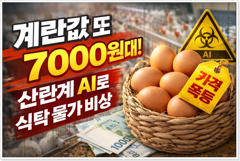 계란값 또 7000원대