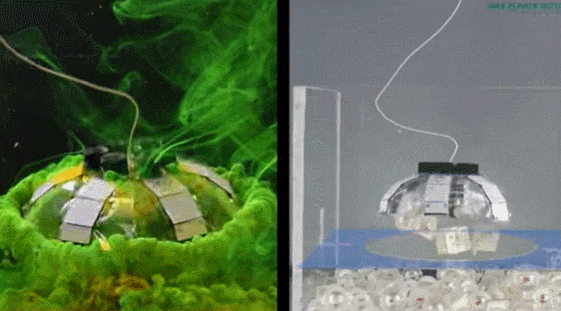 진동하는 해파리 로봇, 인공 근육 사용 '해양쓰레기' 진공 청소 VIDEO: Pulsating jellyfish robots can pick up and vacuum ocean trash using artificial muscles