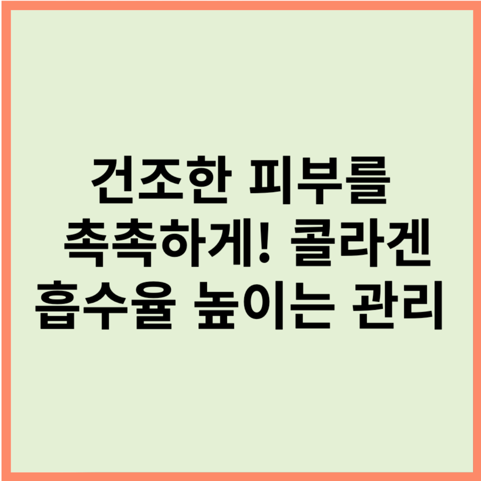 건조한 피부를 촉촉하게! 콜라겐 흡수율 높이는 관리 비법