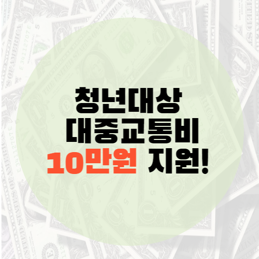 청년 대중교통비 지원