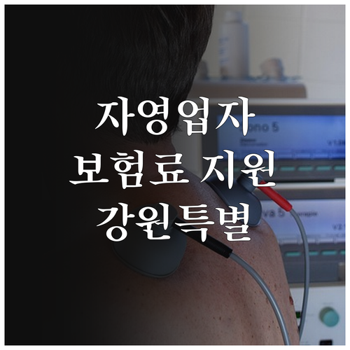 강원특별자치도 2025 1인 자영업자..