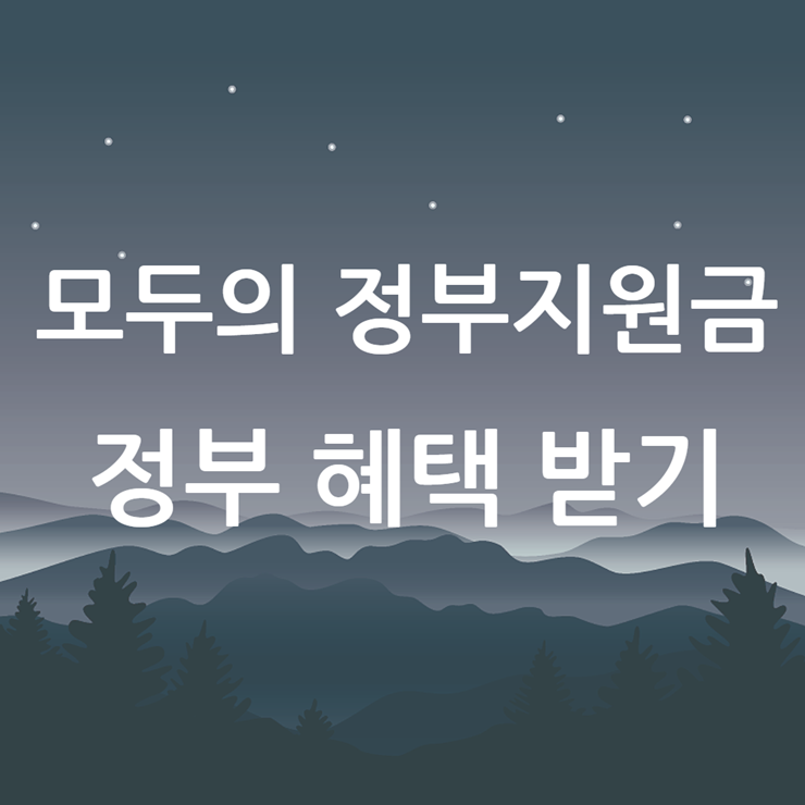 모두의 정부지원금