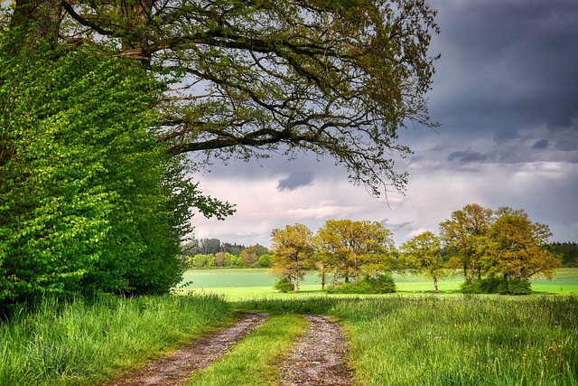 현황도로, 사실상 도로 인정될까?