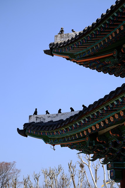 조선 전기의 상업과 시장 구조 변화 분석하기