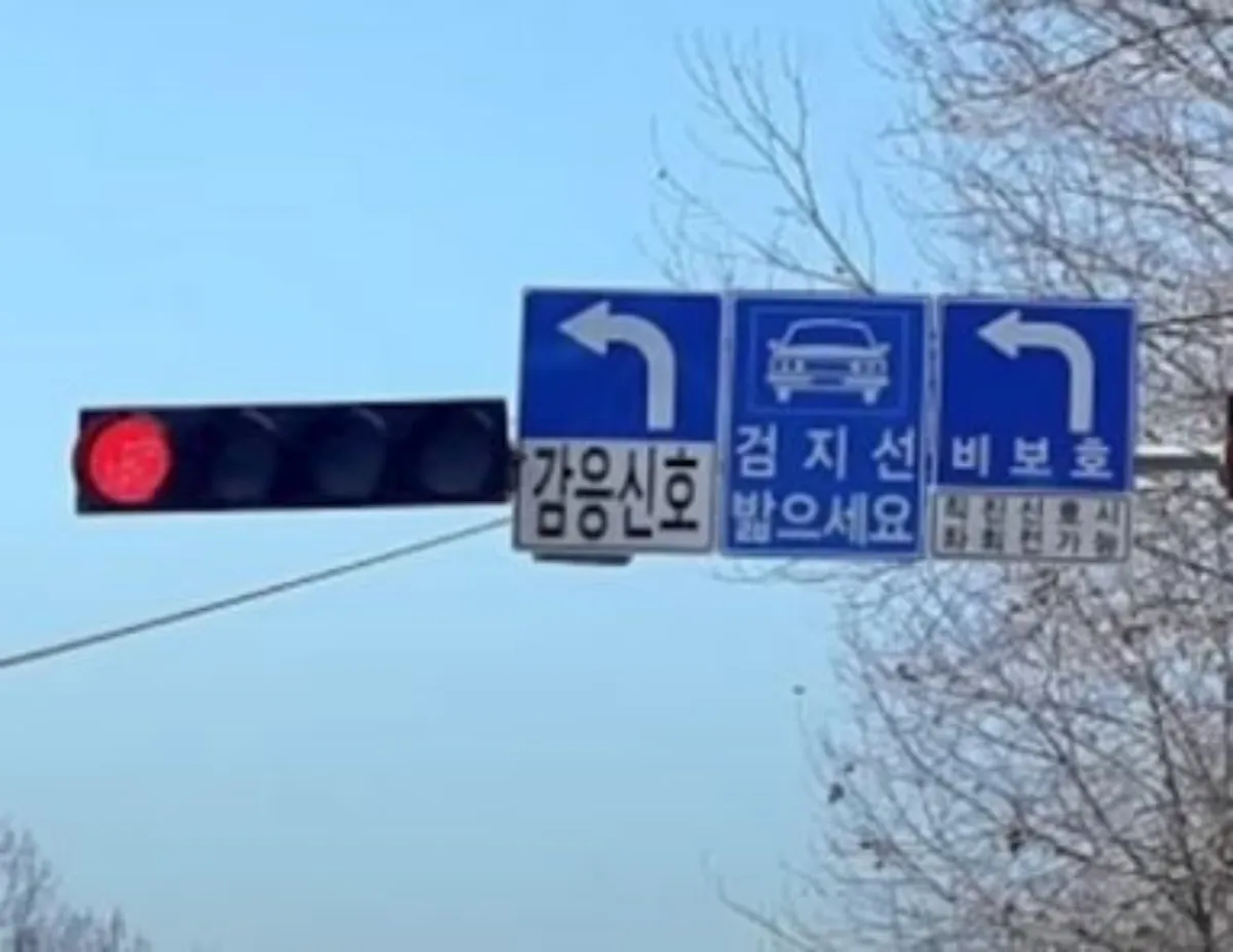 좌회전 감응신호 사진