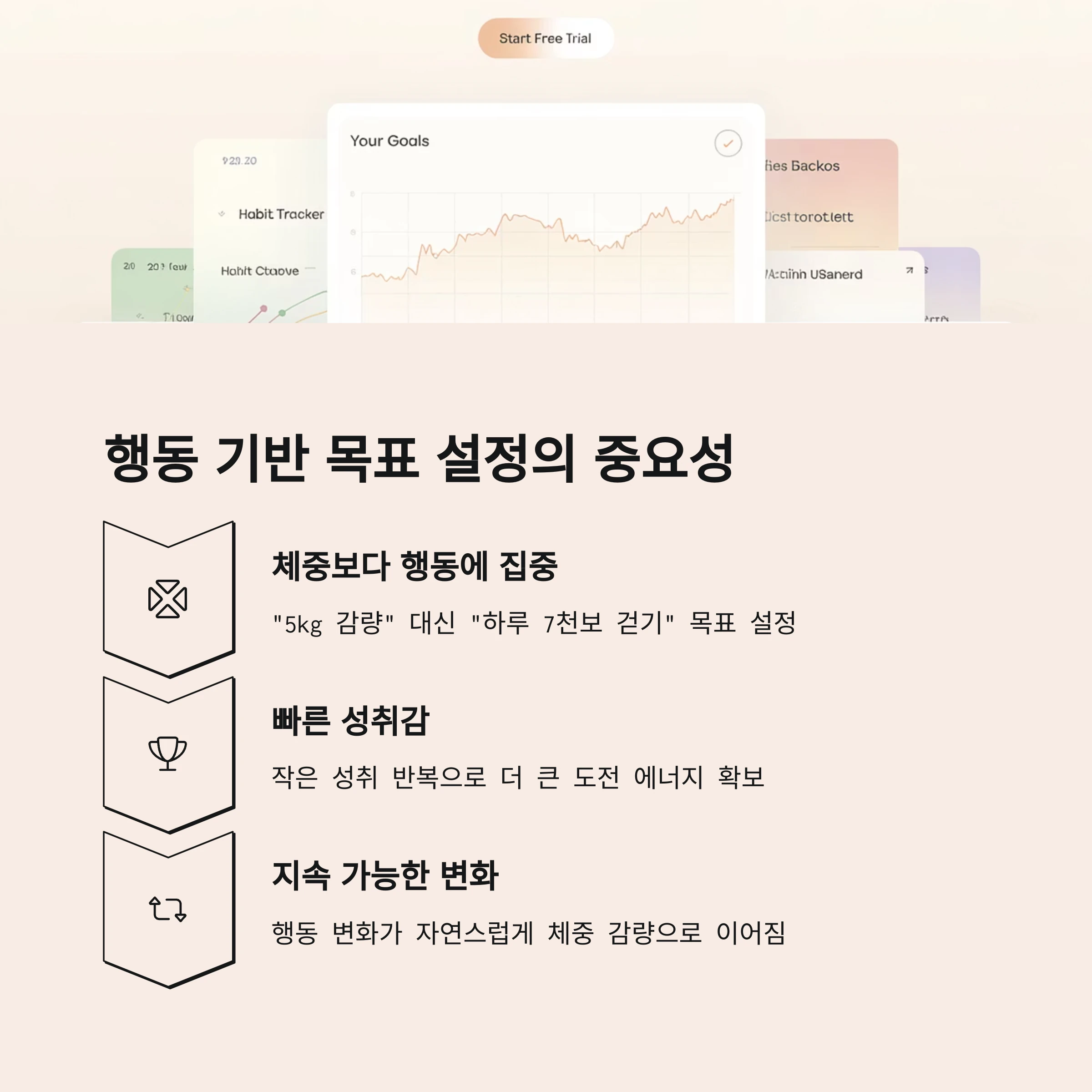 체중 감량