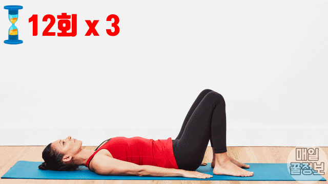 최고의 힙업 운동 5가지 힙브릿지, 애플힙 운동, 엉덩이 살빼는 운동, 다이어트 팁줌 매일꿀정보