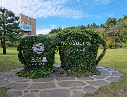 오설록 티 뮤지엄