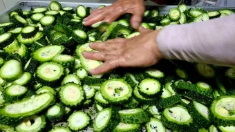 여주 가볼만한곳 베스트10 완벽 관광 가이드_18